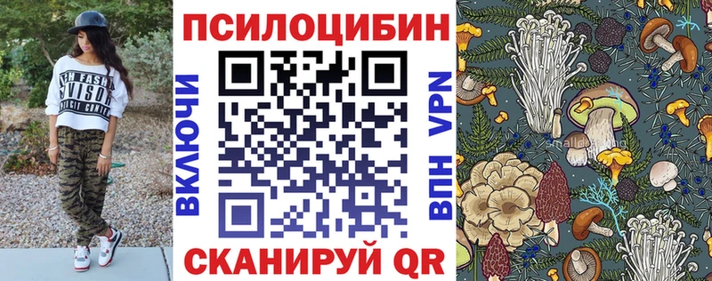 Галлюциногенные грибы Psilocybe  даркнет официальный сайт  Ижевск 